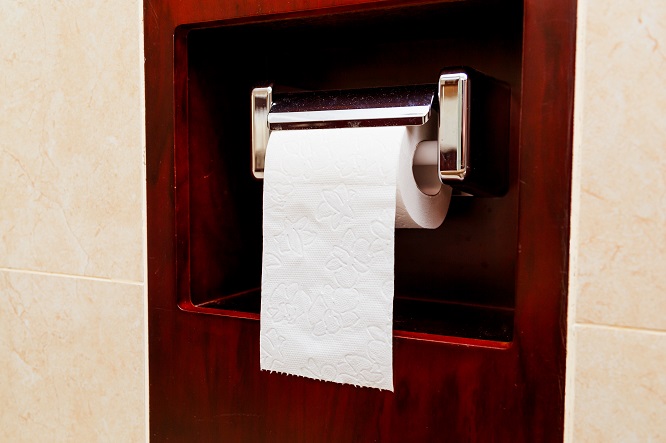 roll-of-toilet-paper-on-a-brass-fixture-P9DGCLP